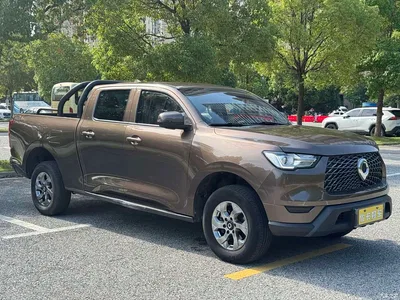 2021 Great Wall Pao 2.0T Commercial Edition Automatic Diesel 2WD Elite Standard Box GW4D20M, фото 2, лот 11087915
