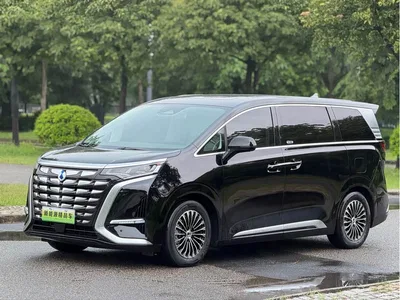 2024 Denza D9 DM-i 1050 Premium, фото 1, лот 10345823
