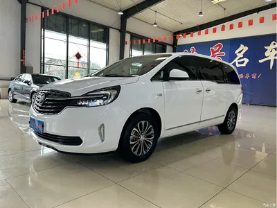 2021 Buick GL8 Land Business Class 652T Luxury Welfare Edition, фото 1, лот 11243704