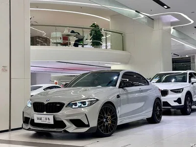2018 BMW M2 Thunder Edition, фото 1, лот 10889558
