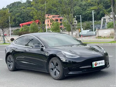 2020 Tesla Model 3 Standard Range Rear-Wheel Drive Upgrade, фото 1, лот 10356686