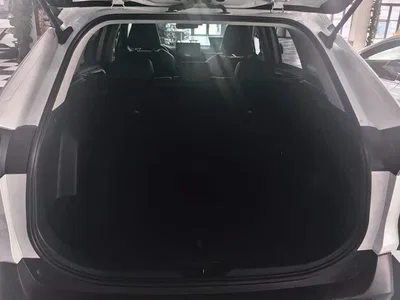 2021 Toyota RAV4 Rongfang 2.0L CVT 2WD Trend PLUS, фото 4, лот 10902870