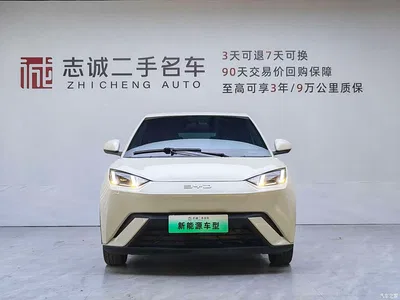 2024 BYD Seagull Glory Edition 305km Freedom Edition, фото 2, лот 10246984