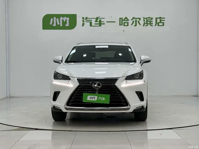 2020 Lexus NX 200 AWD F Sport China VI, фото 2, лот 10312651