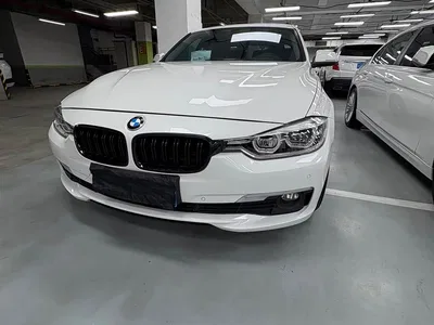 2016 BMW 3 Series 320Li Progressive, фото 1, лот 10671074