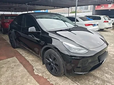 2023 Tesla Model Y Rear-Wheel Drive Edition, фото 4, лот 11096803