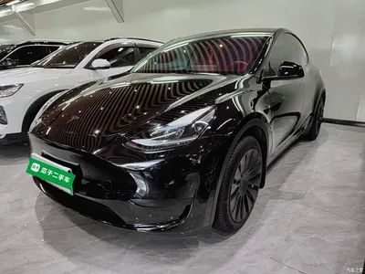2022 Tesla Model Y Rear-Wheel Drive Version, фото 1, лот 10763737