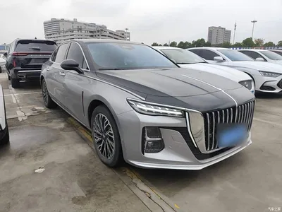 2024 Hongqi H5 2.0T Automatic Smart Connect Flag Smooth Edition, фото 4, лот 10800761