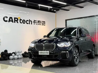 2022 BMW X5 Facelift xDrive 40Li Premium M Sport Package, фото 1, лот 10462876