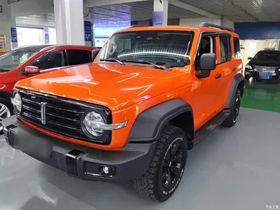 2021 Tank 300 Off-road Version 2.0T Conqueror, фото 2, лот 11017970
