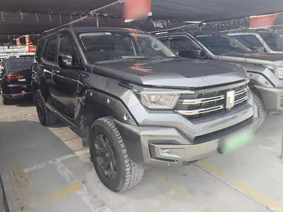 2023 Tank 400 New Energy Hi4-T Super Edition, фото 4, лот 10817107
