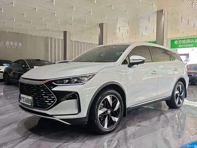 2024 BYD Tang New Energy DM-i Glory Edition 112KM Deluxe, фото 2, лот 10481281