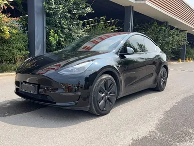2021 Tesla Model Y Standard Range Rear-Wheel Drive, фото 1, лот 10370250