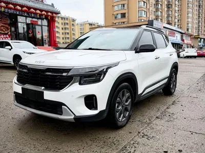 2023 Kia Seltos 1.5L CVT Luxury Edition, фото 1, лот 10449261