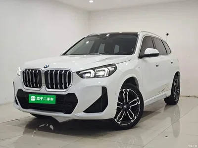2023 BMW X1 sDrive25Li M Sport Package, фото 2, лот 10467383