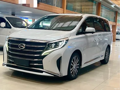 2023 GAC Trumpchi Trumpchi M8 Leading Series 390T Ultimate Edition, фото 1, лот 10420481