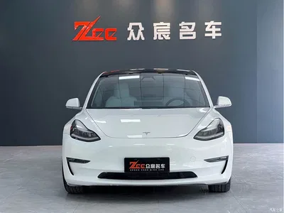 2019 Tesla Model 3 (Import) Performance High-Efficiency All-Wheel Drive Version, фото 2, лот 10367160