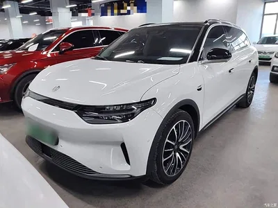 2021 Leapmotor C11 Model Premium Edition, фото 2, лот 10442025