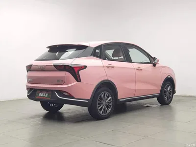 2022 Nezha Auto Nezha V Trend 400 Lite Pink Custom Edition, фото 2, лот 11592711