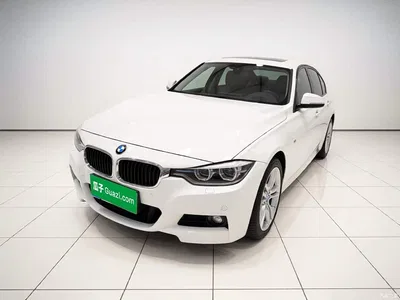 2017 BMW 3 Series 320Li M Sport, фото 1, лот 10457931