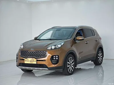 2016 Kia KX5 Model 1.6T Automatic 2WD DLX, фото 1, лот 10336579