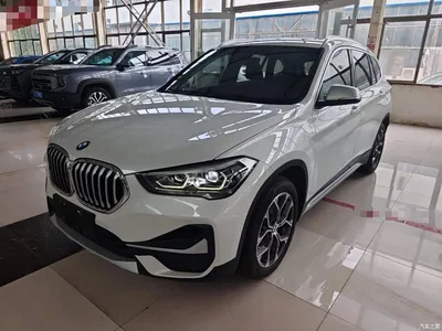 2021 BMW X1 Facelift sDrive20Li Premium, фото 2, лот 10467724