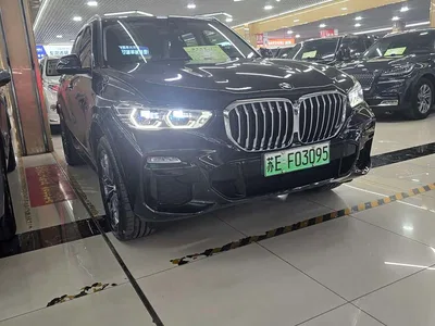 2021 BMW X5 New Energy(Imported) Facelift xDrive45e M Sport Package, фото 3, лот 10476788