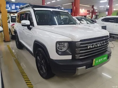 2023 Haval Meng Long NEV Hi4 102 Explorer Edition, фото 4, лот 11211921