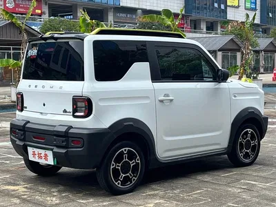 2024 Geely Galaxy Panda 200km Panda Knight, фото 4, лот 10431573