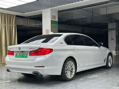 2019 BMW 5 Series New Energy 530Le Luxury Package, фото 4, лот 10448558