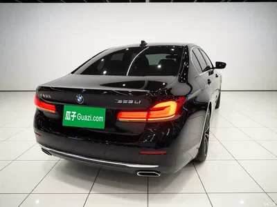2021 BMW 5 Series 525Li Luxury Package, фото 4, лот 11196378