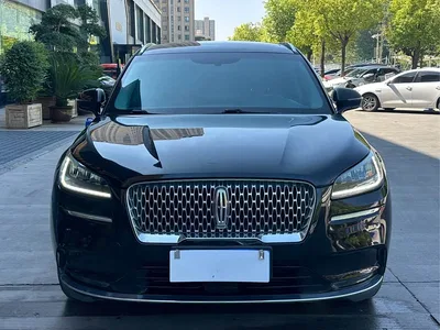 2020 Lincoln Adventurer 2.0T 2WD Premium Enjoyment Edition, фото 2, лот 10357671