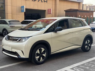 2025 BYD Dolphin 420km Freedom Edition, фото 3, лот 10257596