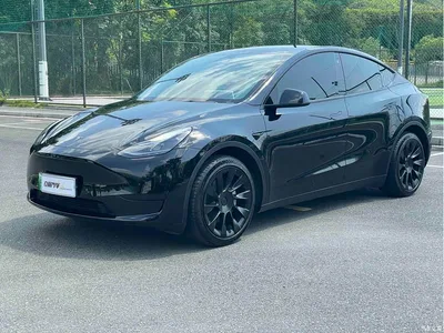 2022 Tesla Model Y Facelift Rear-Wheel Drive Version, фото 1, лот 10404574