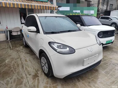 2023 Wuling Motors Wuling Bingo 333km Quick Enjoy Version, фото 2, лот 11134352