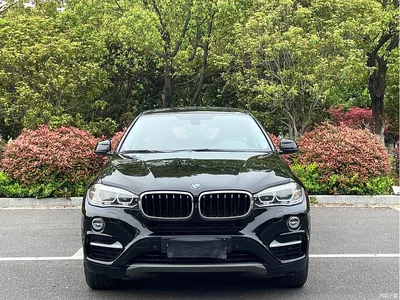 2017 BMW X6 xDrive35i Leading, фото 2, лот 10399062