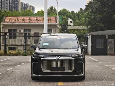 2025 Voyah Auto Voyah Dreamer PHEV AWD Flagship Kunpeng Edition, фото 2, лот 10358105