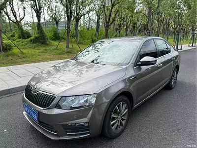 2017 Škoda Octavia 1.6L Automatic Pioneer Edition, фото 1, лот 10349216