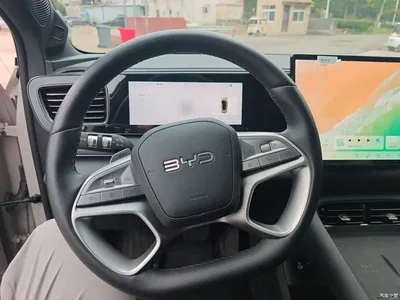 2025 BYD Sealion 06 New Energy DM-i 170 Pilot Pro Edition, фото 4, лот 10481656
