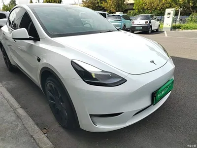 2024 Tesla Model Y Long Range AWD, фото 4, лот 10621726