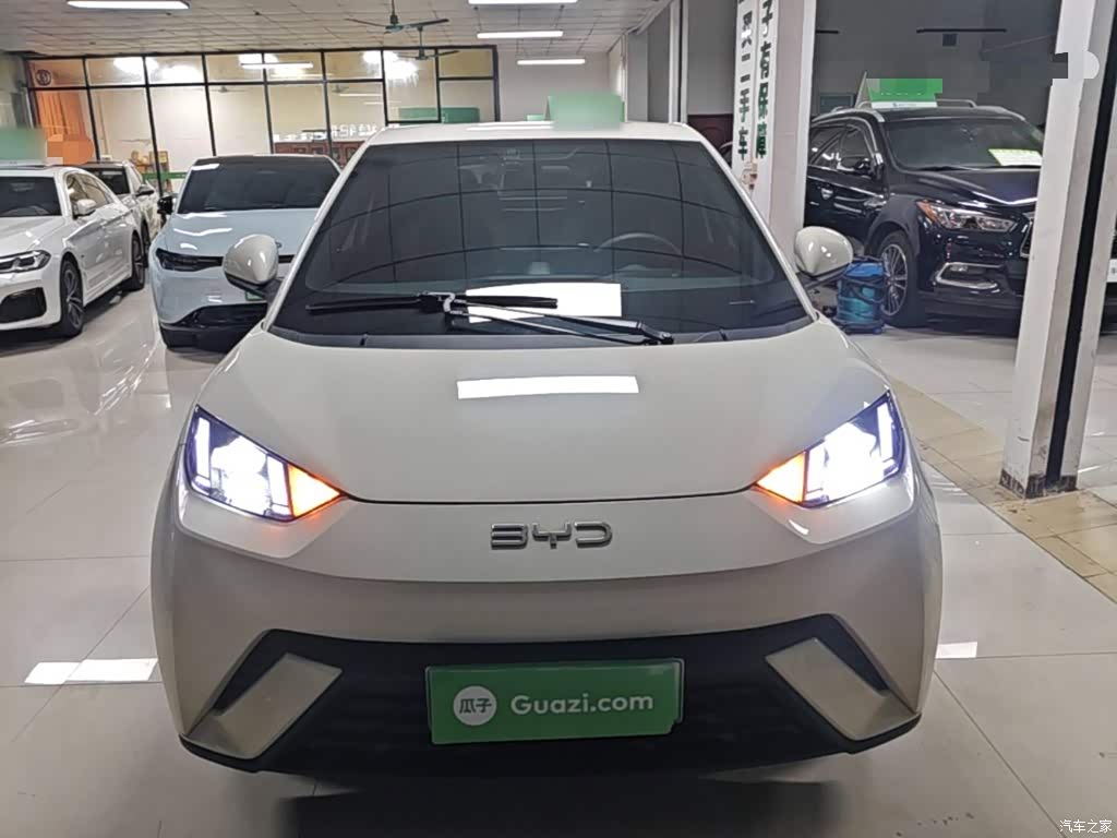 2024 BYD Seagull Glory Edition 305km Vitality Edition, фото 3, лот 11206634
