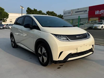 2023 BYD Dolphin 420km Freedom Edition, фото 2, лот 11253460