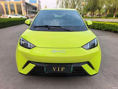 2024 BYD Seagull Glory Edition 305km Vitality Edition, фото 1, лот 10244324