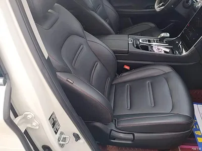 2022 GAC Trumpchi Trumpchi GS4 PLUS 270T Automatic Starry Sky Edition, фото 4, лот 11140458