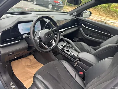 2024 Geely Xingyue L Model 2.0TD High-Power Automatic 2WD Skyline Edition, фото 4, лот 10301712