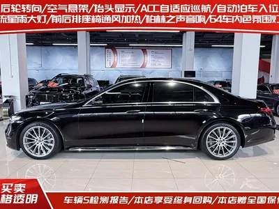 2022 Mercedes S Klasse, фото 3, лот 10248317