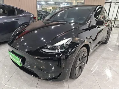2022 Tesla Model Y Rear-Wheel Drive Version, фото 1, лот 11190263