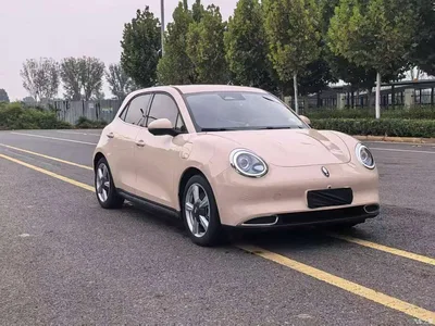 2022 Ora Good Cat 400km Standard Range Premium LFP, фото 3, лот 11184091
