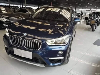 2018 BMW X1 xDrive20Li Premium Model, фото 2, лот 11461697