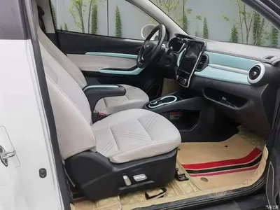 2021 QQ New Energy Little Ant 200K Fans Edition Vitality Version (LFP Battery 301km), фото 3, лот 11175053